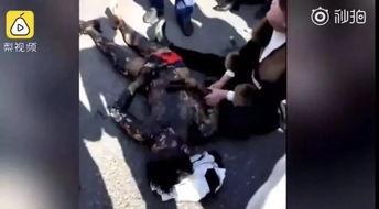 泰安婚闹在线视频,欢乐与温馨交织的婚礼狂欢