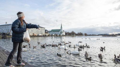 冰岛沦陷在线视频,揭秘神秘岛屿的末日危机