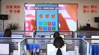 淄博在线视频观看,带你领略淄博魅力瞬间