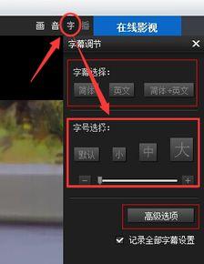 在线视频中中字幕